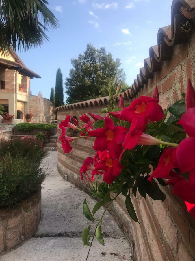 Residenza Le Querce Trilocale Fossato di Vico